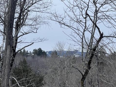 018 Bear Lane Rumford ME 04276