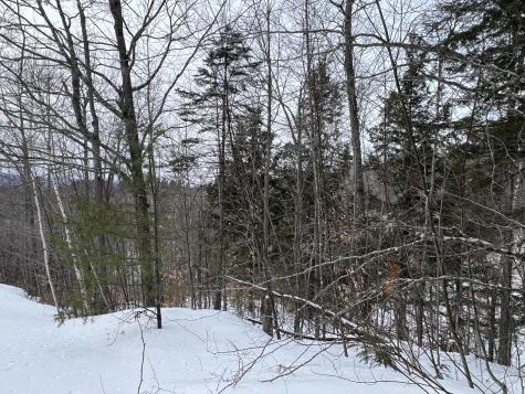 018 Bear Lane Rumford ME 04276