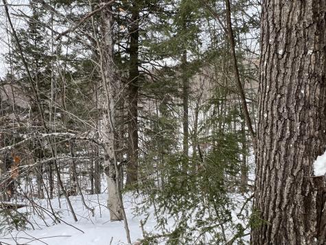 018 Bear Lane Rumford ME 04276