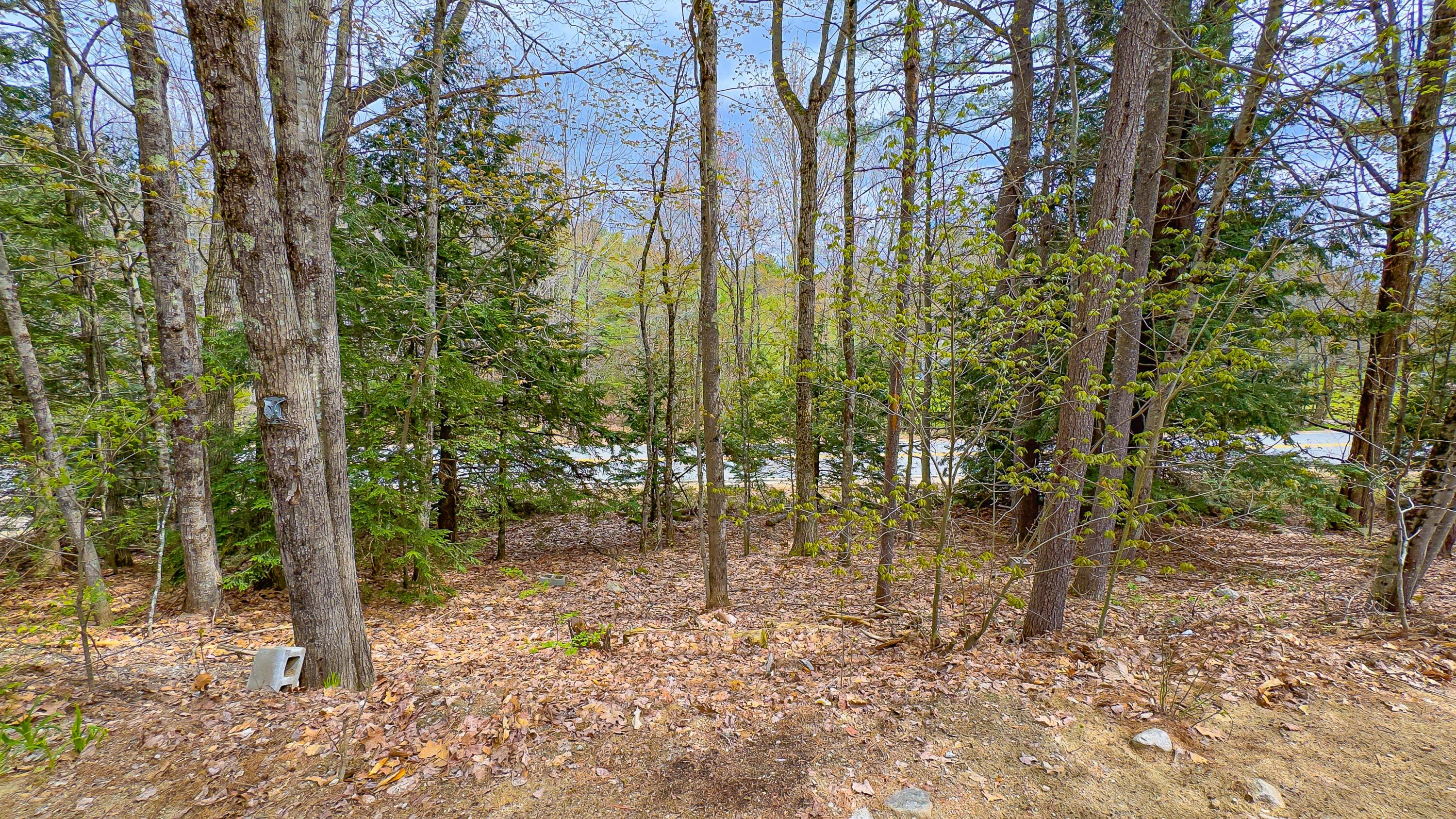 180 Bolsters Mills Road Otisfield ME 04270