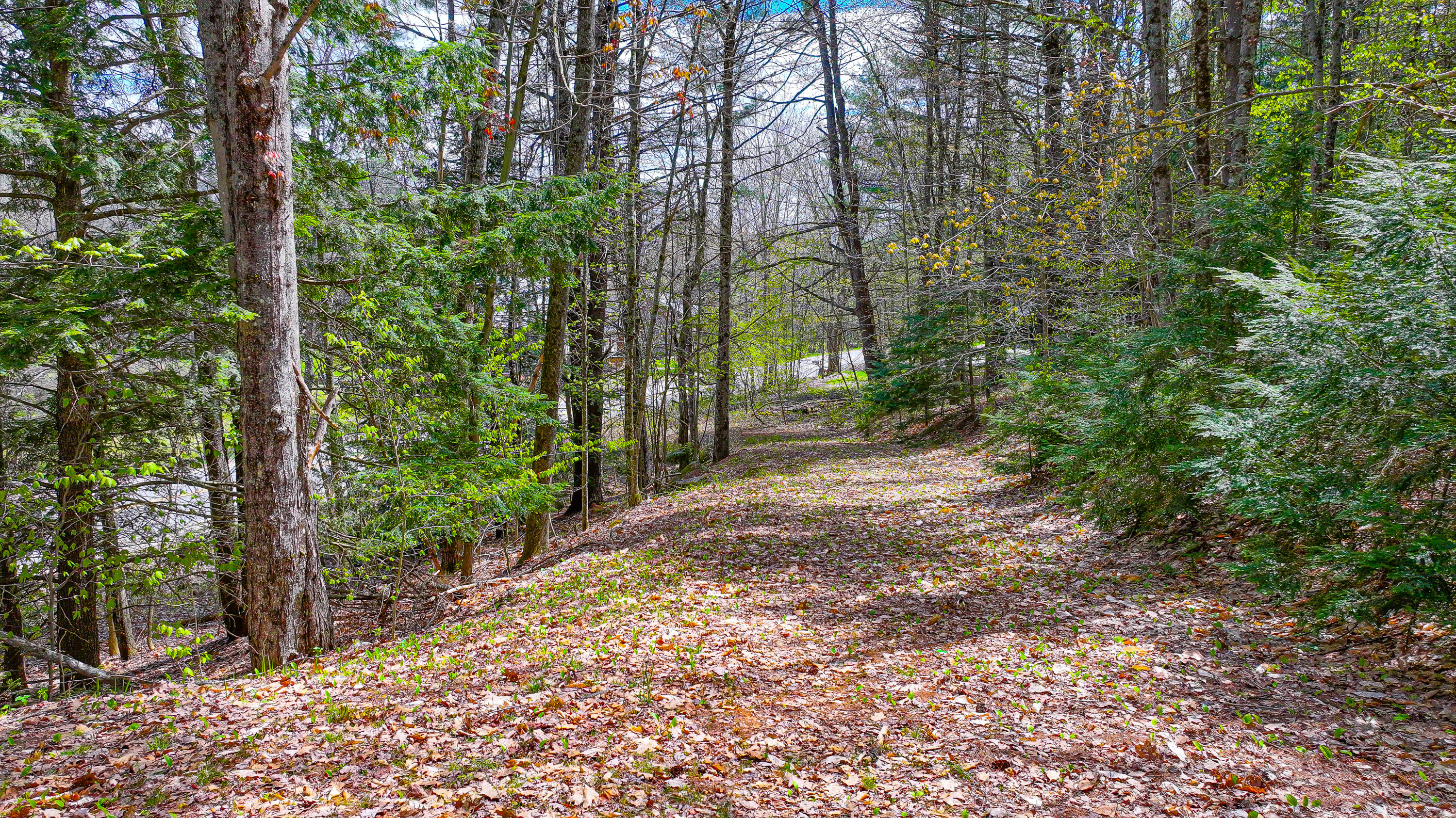 180 Bolsters Mills Road Otisfield ME 04270