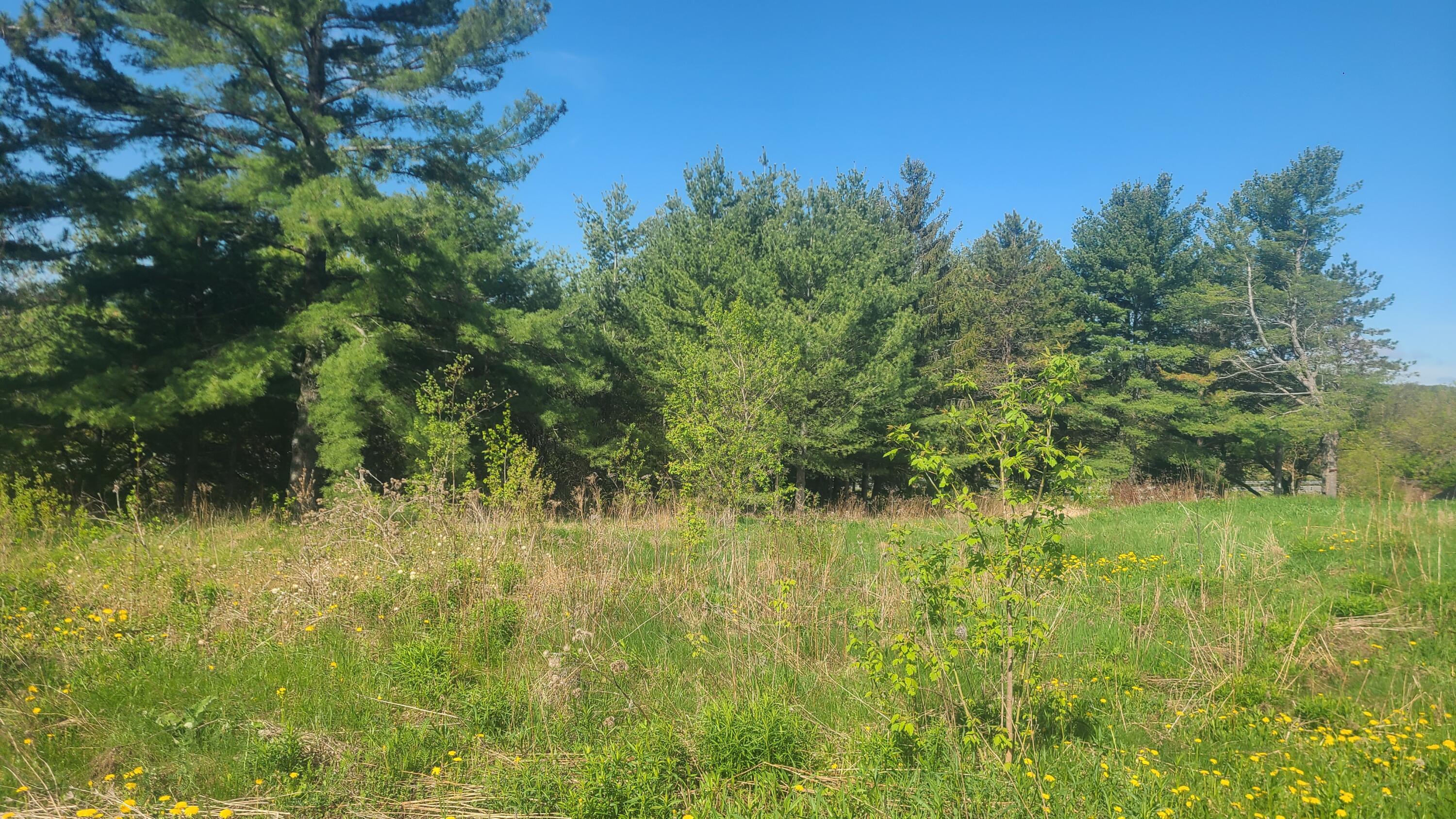 58 Pondview Street Limestone ME 04750