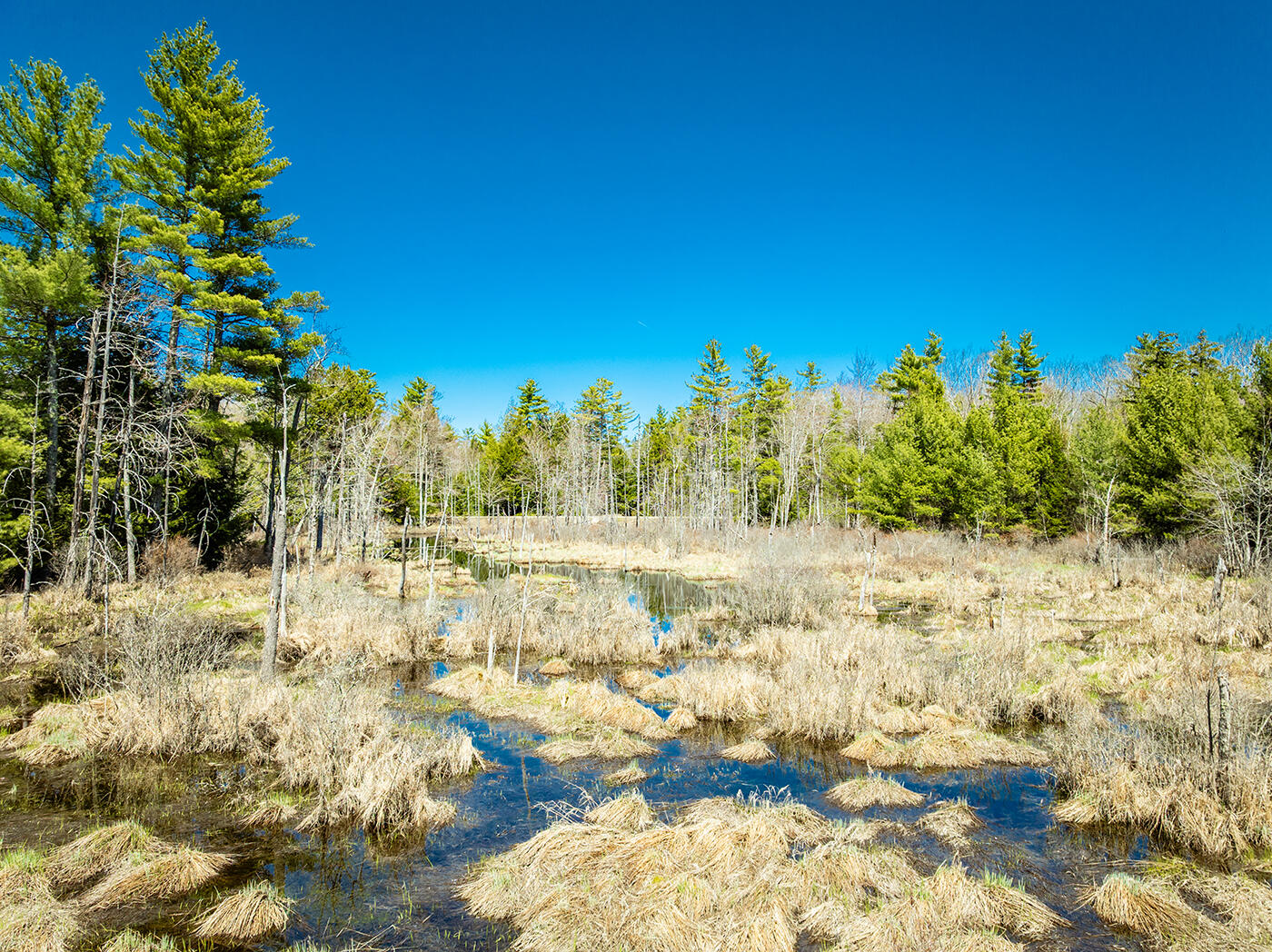MAP2 Lot21 Howes Cove Road Liberty ME 04949