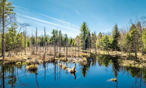 MAP2 Lot21 Howes Cove Road Liberty ME 04949