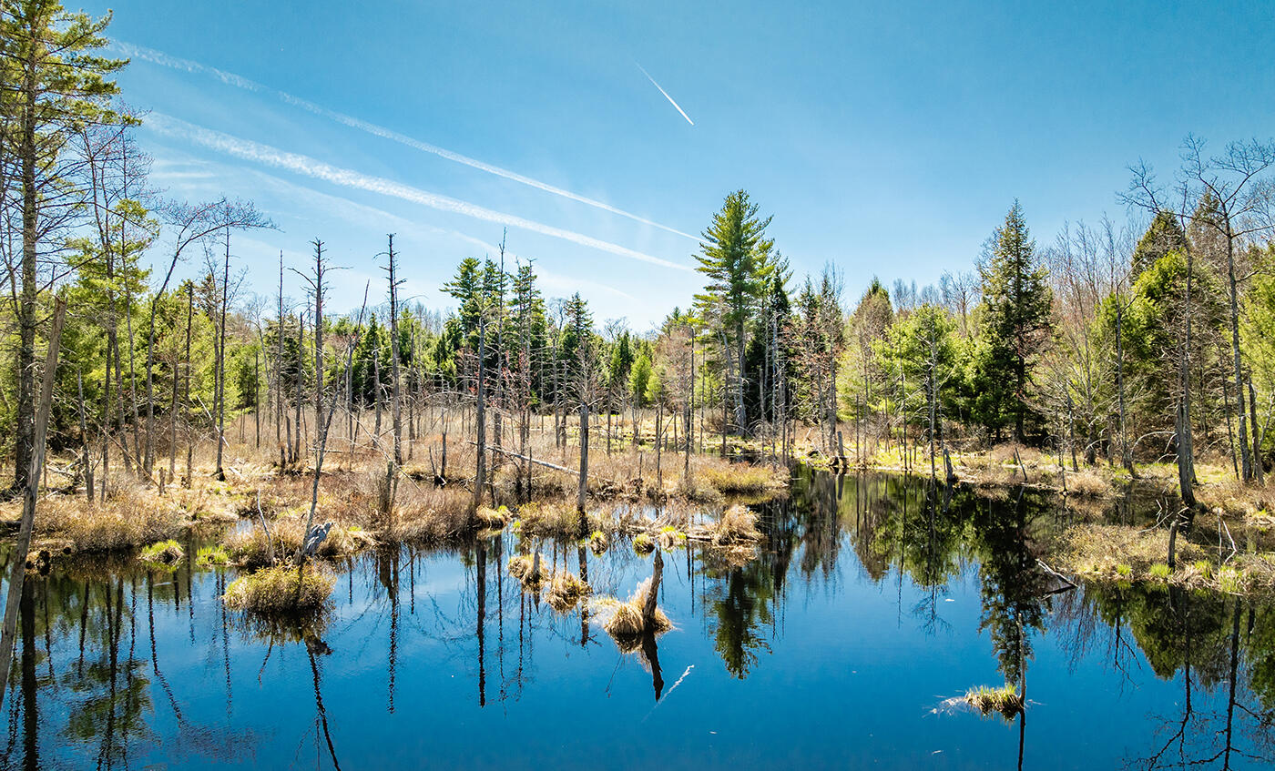 MAP2 Lot21 Howes Cove Road Liberty ME 04949
