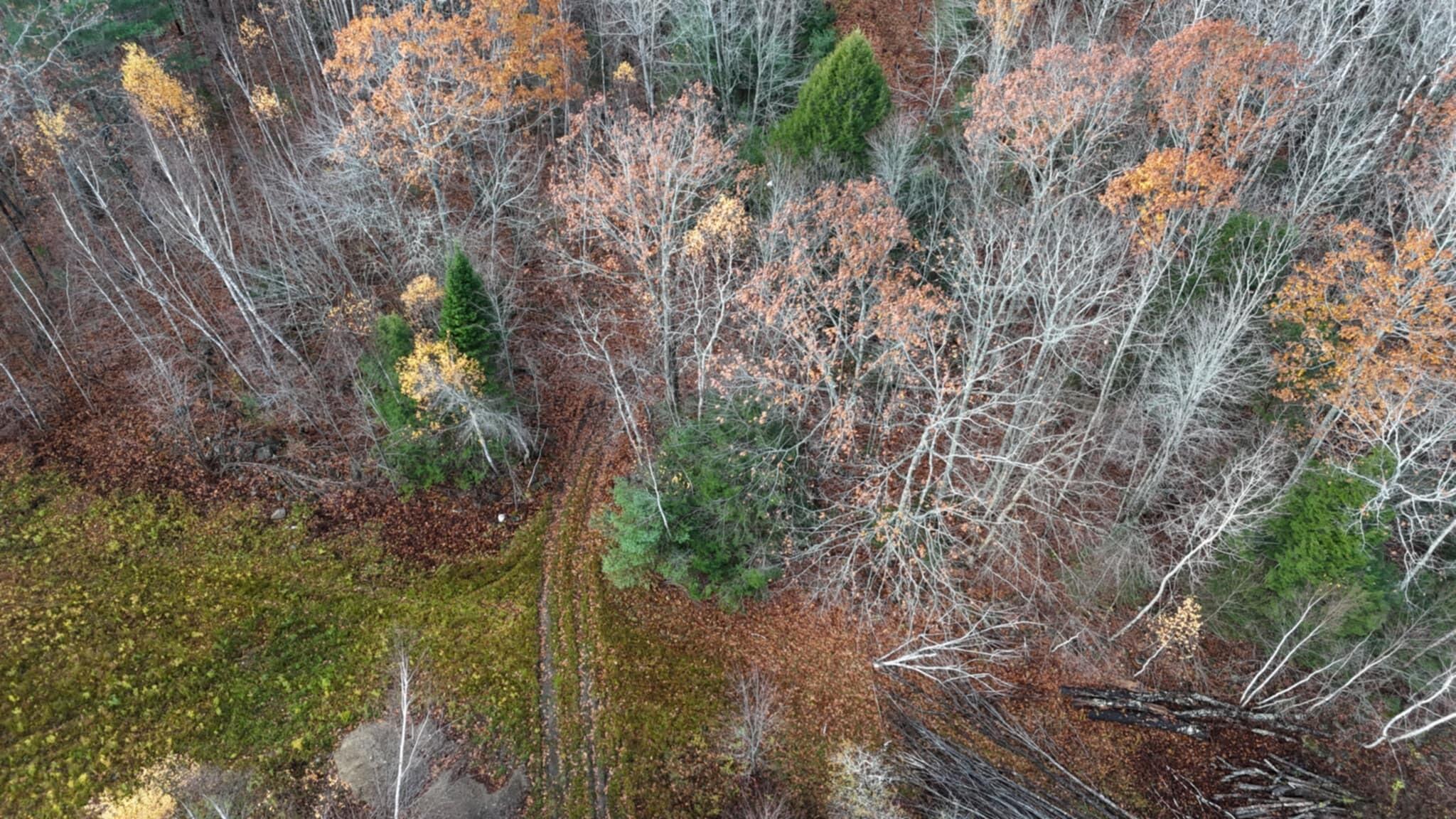 603 Shepard Hill Road Union ME 04862