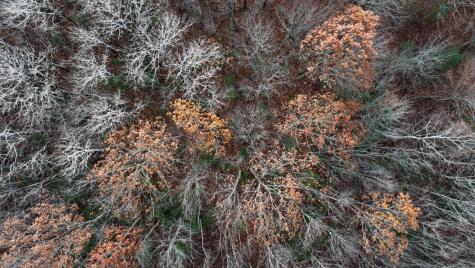 603 Shepard Hill Road Union ME 04862