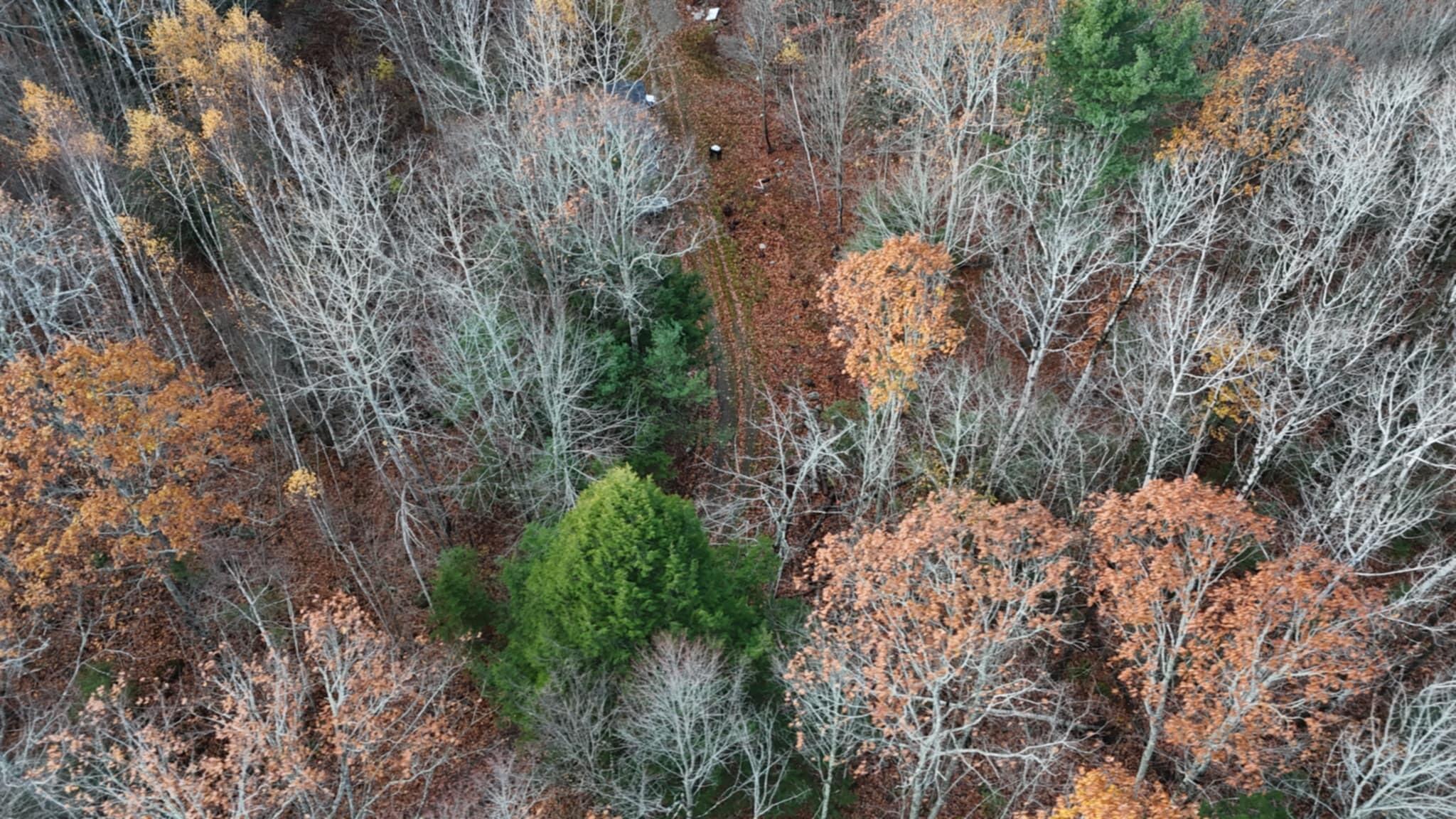 603 Shepard Hill Road Union ME 04862