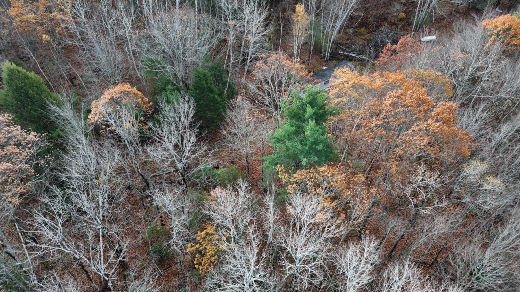 603 Shepard Hill Road Union ME 04862