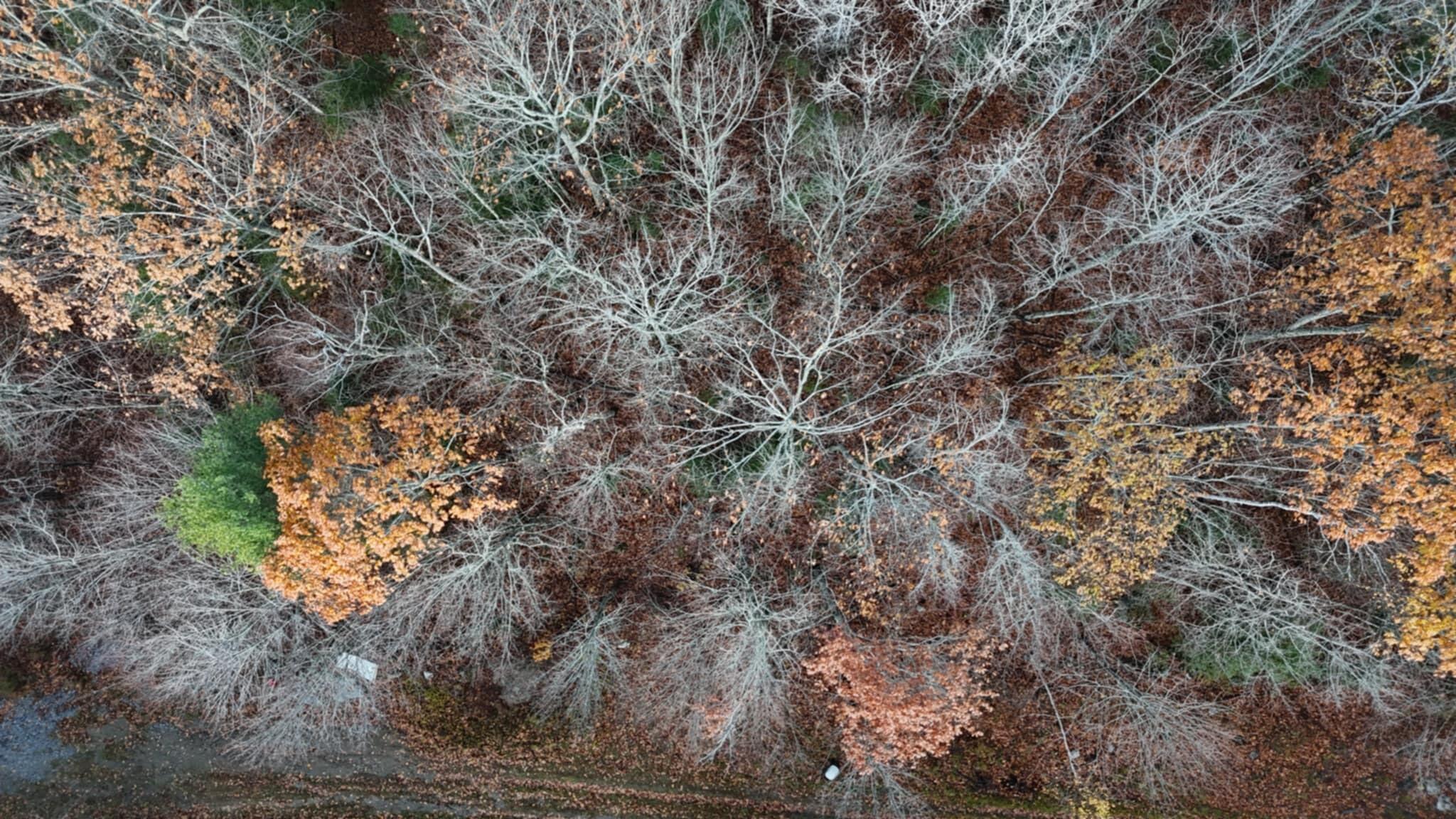 603 Shepard Hill Road Union ME 04862