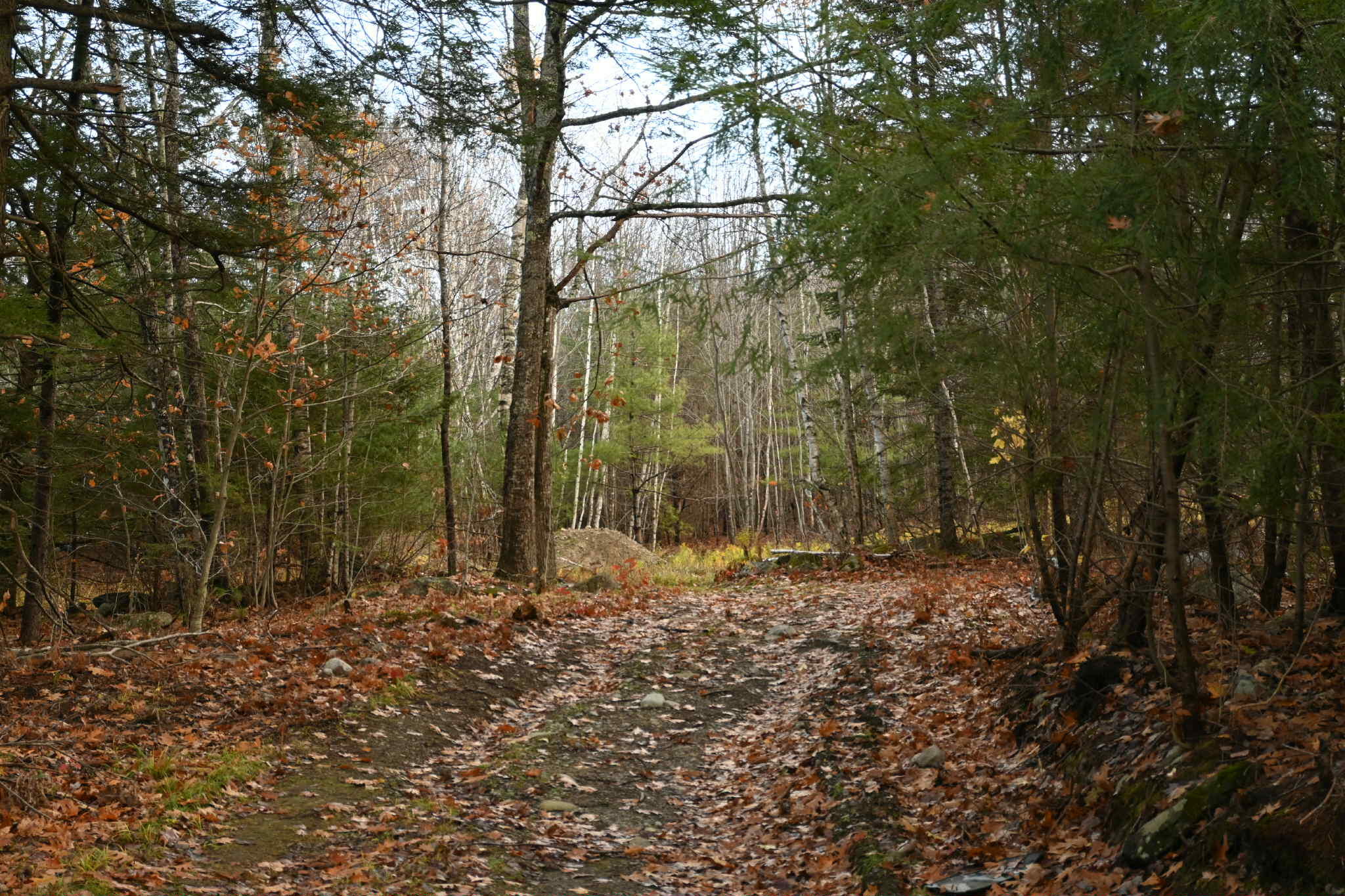 603 Shepard Hill Road Union ME 04862