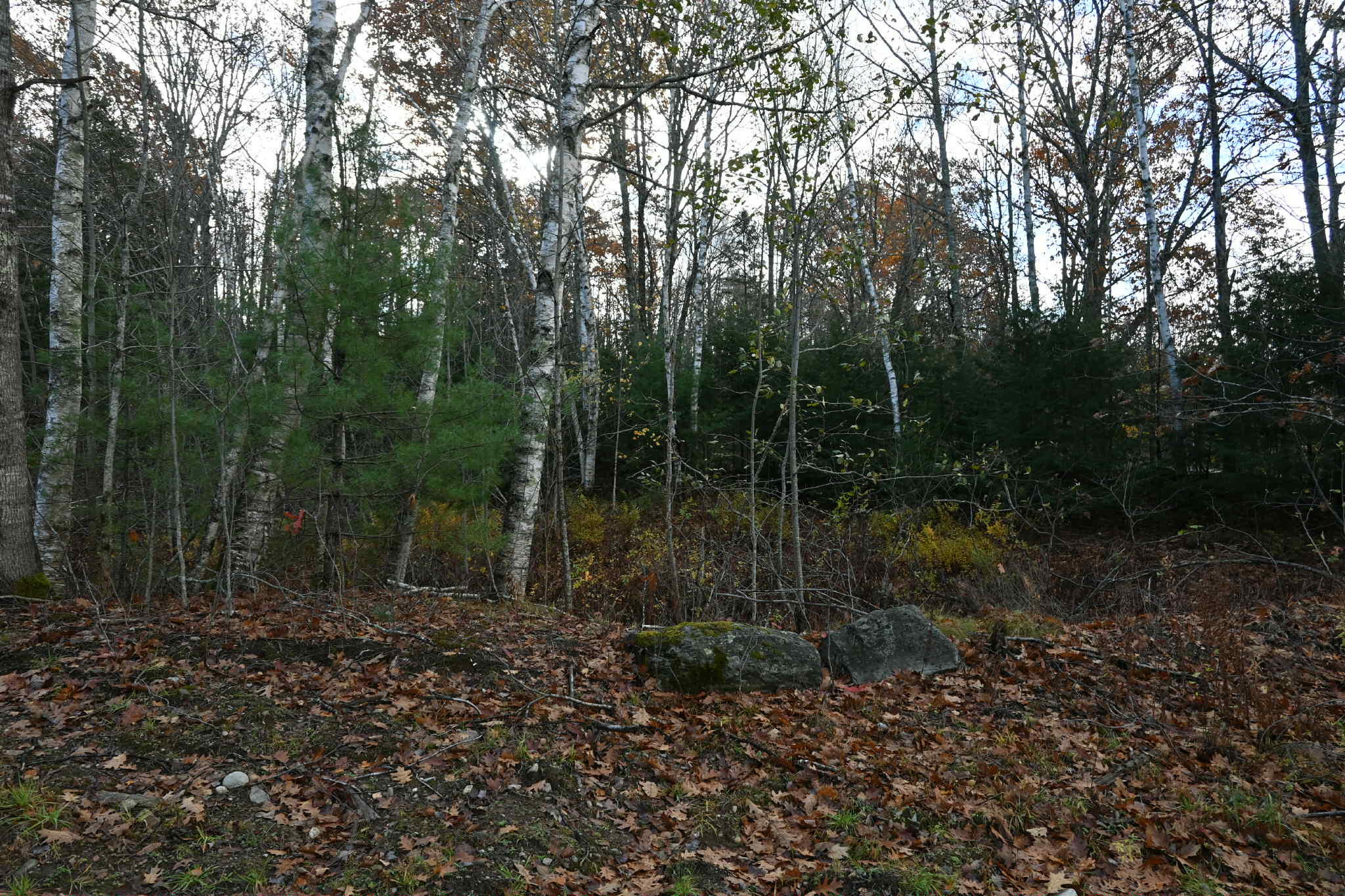 603 Shepard Hill Road Union ME 04862