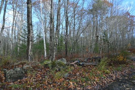 603 Shepard Hill Road Union ME 04862