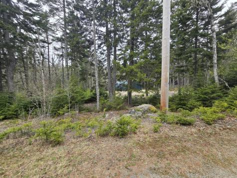 30 Wohoa Bay Drive Addison ME 04606