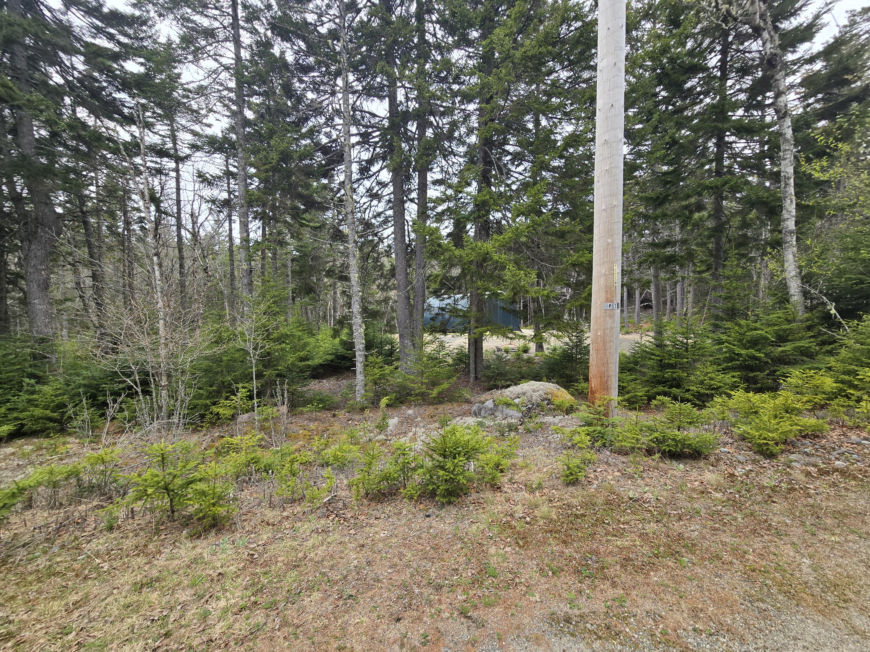 30 Wohoa Bay Drive Addison ME 04606