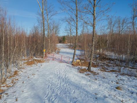 Lot 45-8 Wyatt's Way Livermore ME 04253