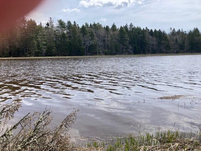 Lot 1 Point Street Addison ME 04606