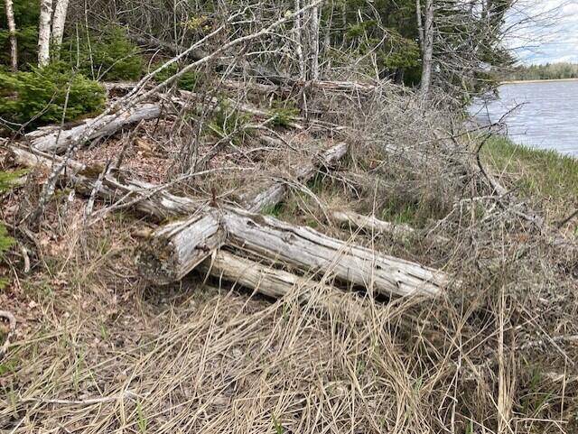 Lot 1 Point Street Addison ME 04606
