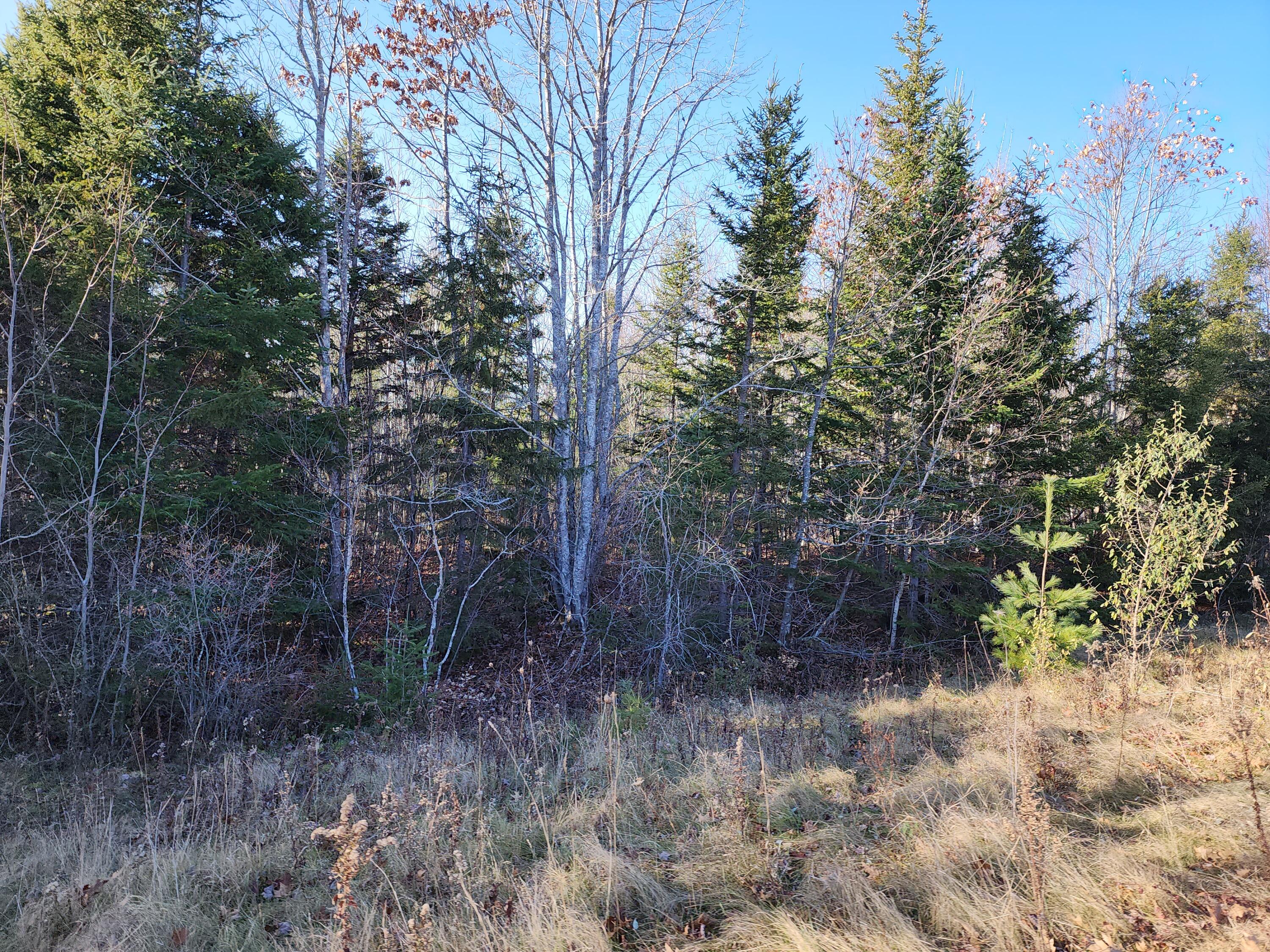 40 Sandy Ridge Lane Searsport ME 04974