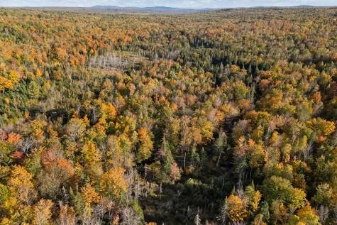 00 Taylor Cemetary Lot 37-1 Road Wellington ME 04942