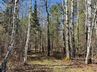 00 Ayer Ridge Road Freedom ME 04941