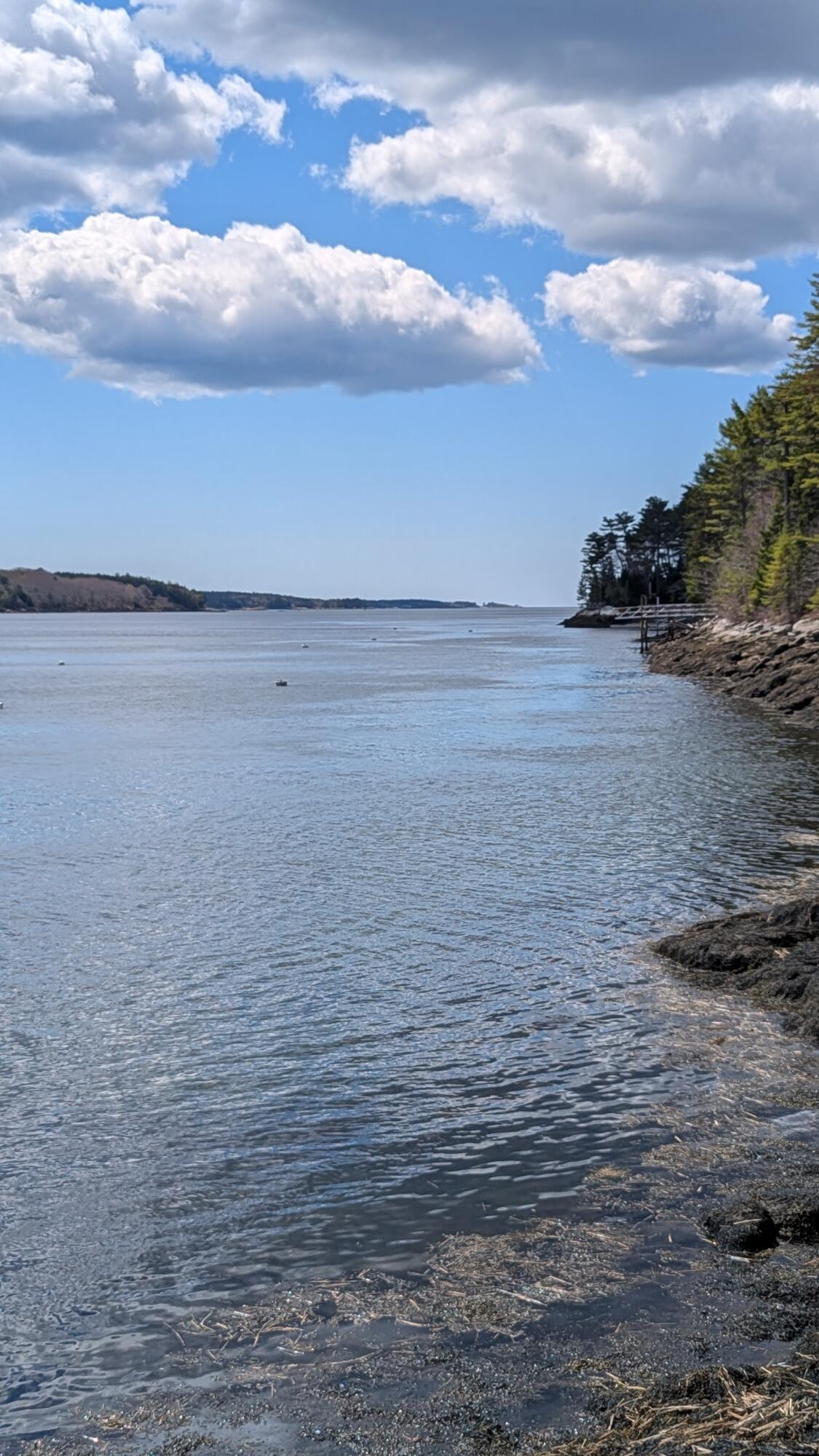 Lot# 14-12 Cove Side Way Westport Island ME 04578