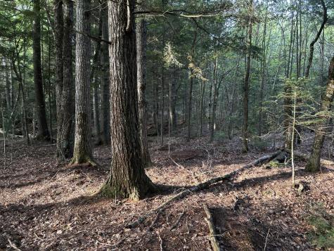 M4L14 Village Road Jackson ME 04921