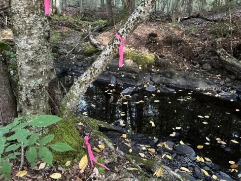 M4L14 Village Road Jackson ME 04921