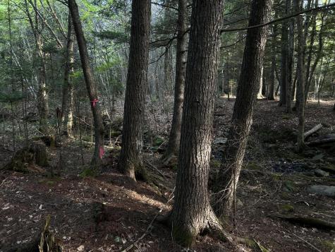 M4L14 Village Road Jackson ME 04921