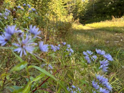 M4L14 Village Road Jackson ME 04921