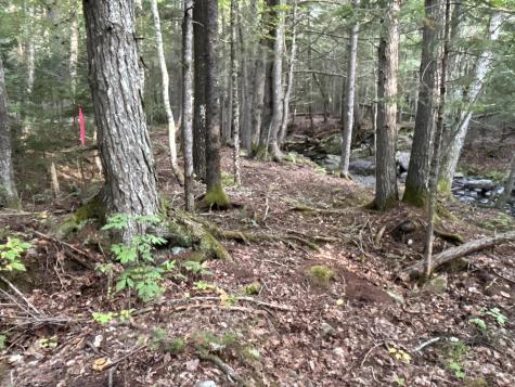 M4L14 Village Road Jackson ME 04921