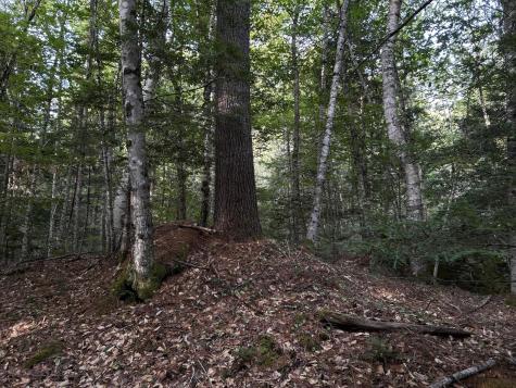 M4L14 Village Road Jackson ME 04921