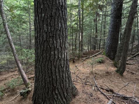 M4L14 Village Road Jackson ME 04921