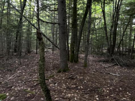 M4L14 Village Road Jackson ME 04921