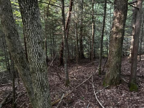 M4L14 Village Road Jackson ME 04921