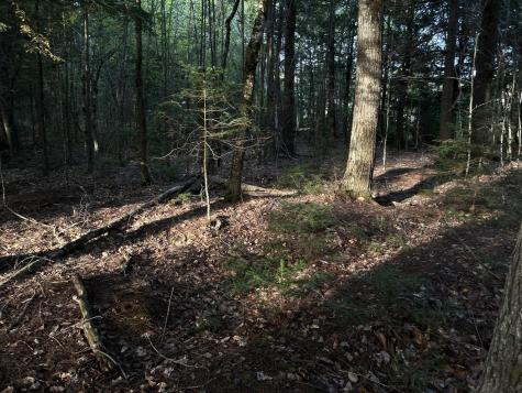 M4L14 Village Road Jackson ME 04921