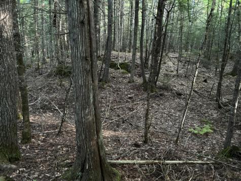 M4L14 Village Road Jackson ME 04921