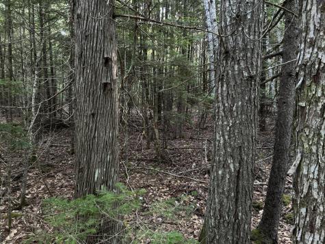 M4L14 Village Road Jackson ME 04921