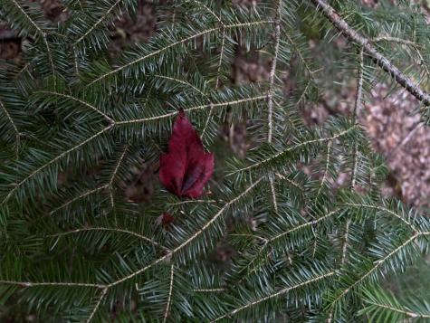 M4L14 Village Road Jackson ME 04921