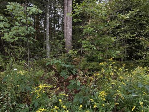 M4L14 Village Road Jackson ME 04921