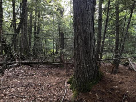 M4L14 Village Road Jackson ME 04921