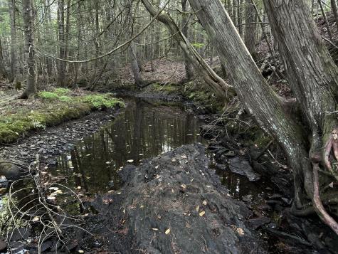 M4L14 Village Road Jackson ME 04921