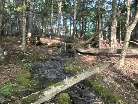 M4L14 Village Road Jackson ME 04921