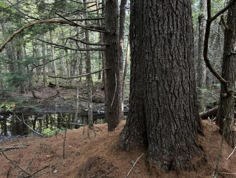 M4L14 Village Road Jackson ME 04921