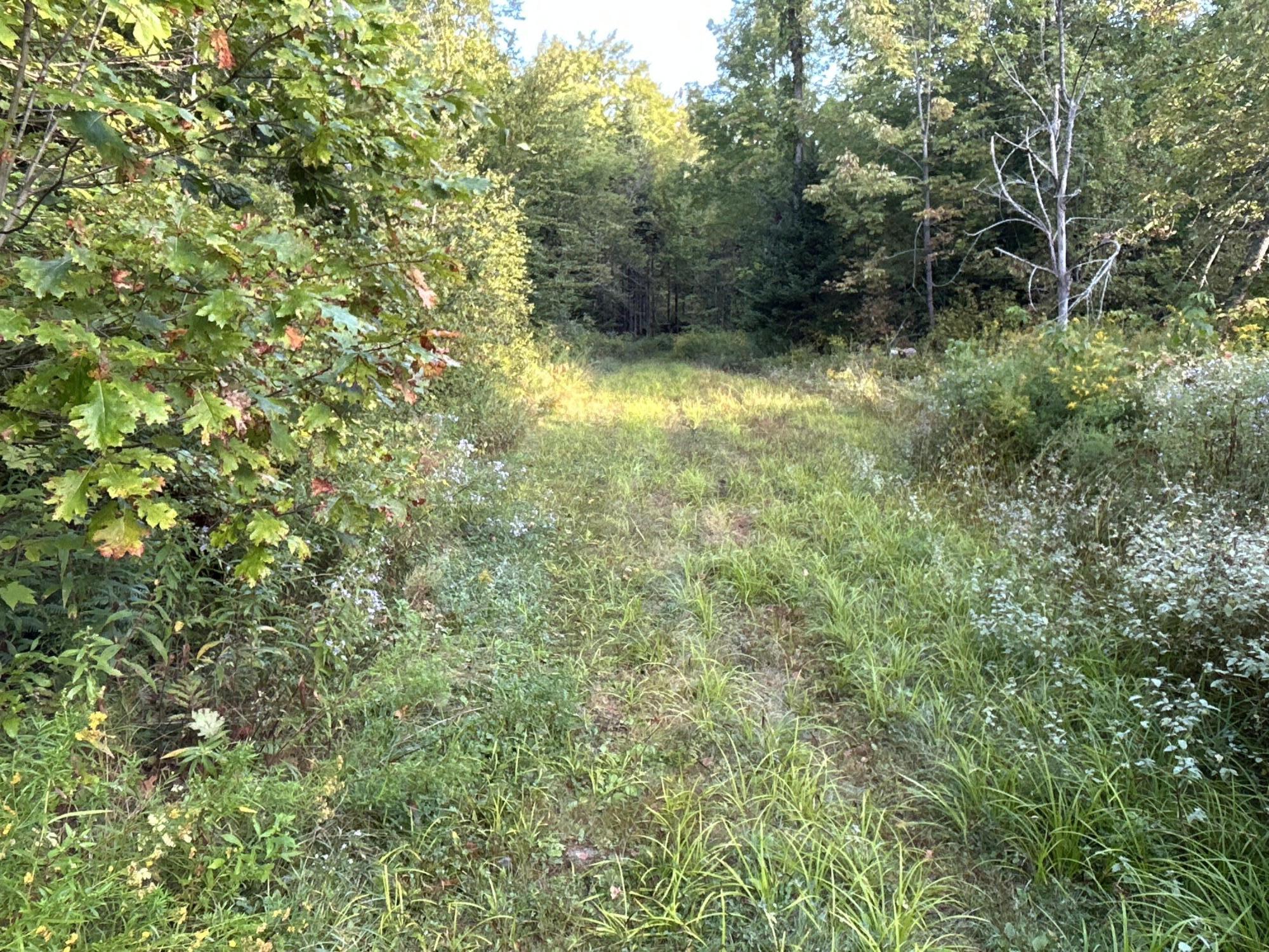 M4L14 Village Road Jackson ME 04921