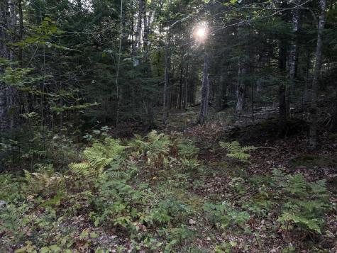 M4L14 Village Road Jackson ME 04921