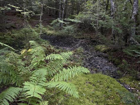 M4L14 Village Road Jackson ME 04921