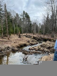 R4 Lot 187 Cape Jellison Road Stockton Springs ME 04981