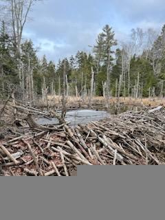 R4 Lot 187 Cape Jellison Road Stockton Springs ME 04981