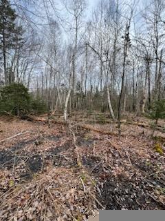 R4 Lot 187 Cape Jellison Road Stockton Springs ME 04981